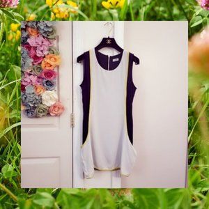 TOBI Chiffon Colorblock Mini Dress Sleeveless S